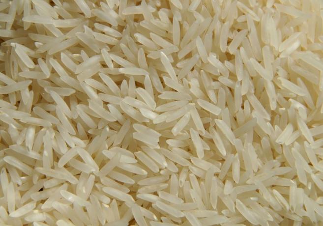 posoda riž
