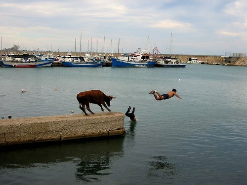 naključne fotografije