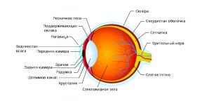 Kaj je očesni tlak in kakšna je njegova norma
