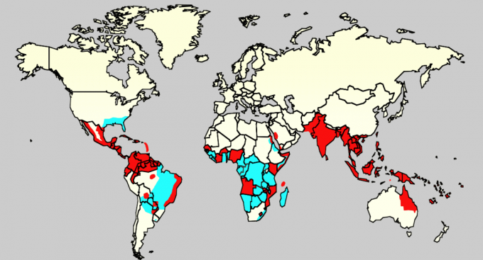 Območje distribucijo vektorjev virusa Zika