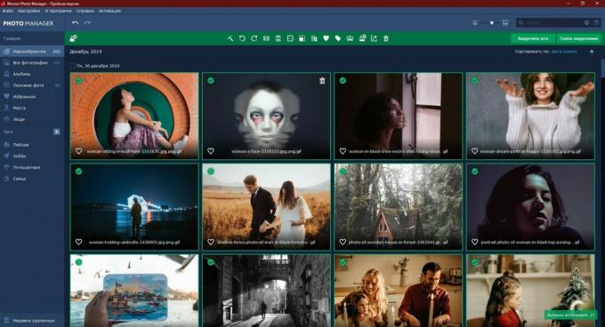 Programi za ogled fotografij v računalniku: Movavi Photo Manager