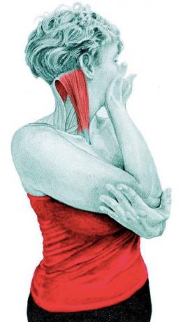 Anatomijo raztezanje: raztezanje rotatorji vratu