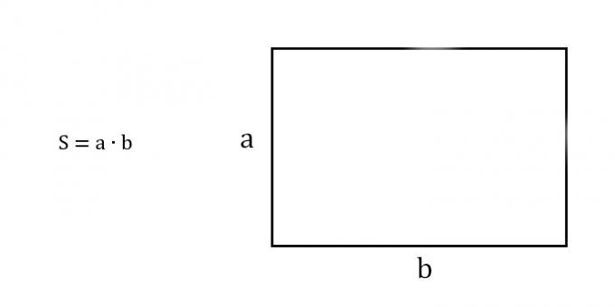 Kako najti površino pravokotnika, ki pozna dve sosednji strani
