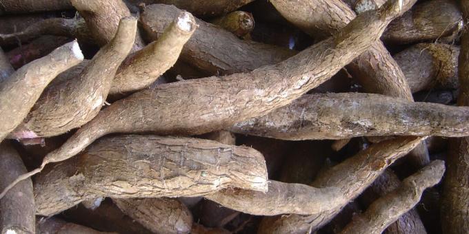 Škodljivi izdelki: manioka