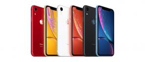 Katero izbrati iPhone v letu 2019