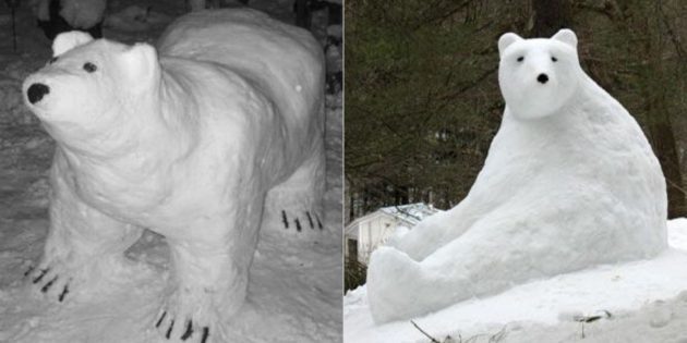 Bear v snegu
