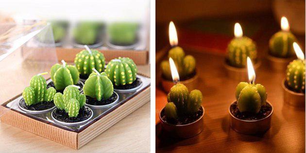 Sveče, kaktusi