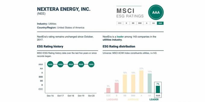 Ocena ESG in njegova dinamika NextEra Energy, $ NEE, maj 2021.