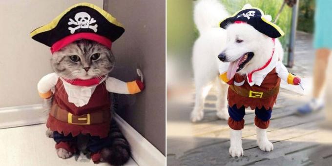 Božični kostumi za pse in mačke: puhasto Pirate
