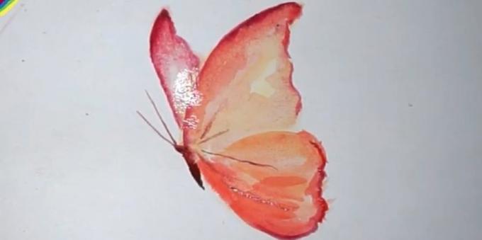 Kako pripraviti realističen barve metuljev
