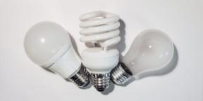 Kaj morate vedeti o LED svetilke