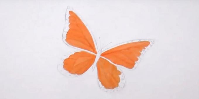 Narišite kroge na robovih spodnjih kril in oranžno oznako na podrobnosti osvetljenih