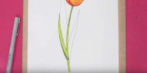 15 načinov risanja čudovitih tulipanov