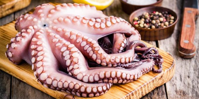 Kako kuhati hobotnico: ohlajena hobotnica