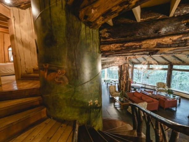 Hotel Magic Mountain Hotel se nahaja v čilski zaščitenih gozdov