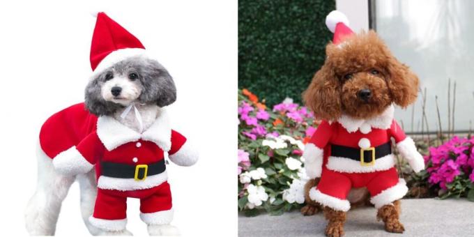 Božični kostumi za pse woofing Božiček