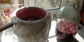 Kako narediti vino iz rdeče, črne in bele ribeza v domu