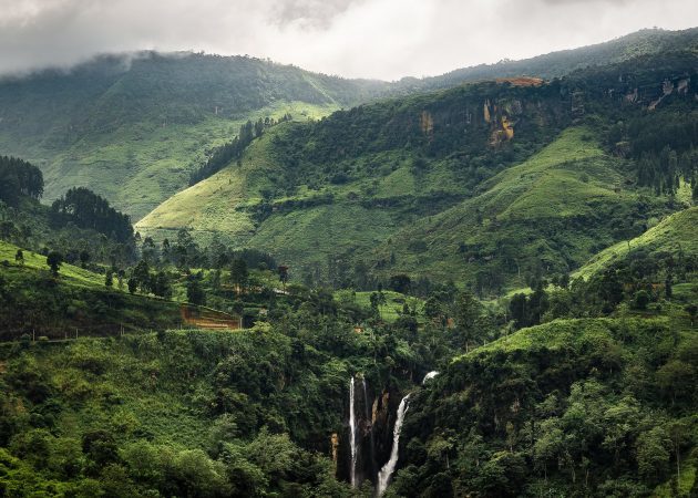 kam iti v jeseni: Šrilanka