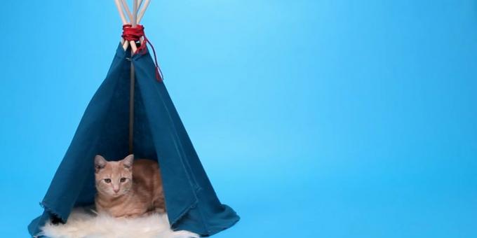Kako narediti hišo-šotor za mačko tirov in tkanine z rokami