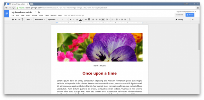 Google Doc uredi