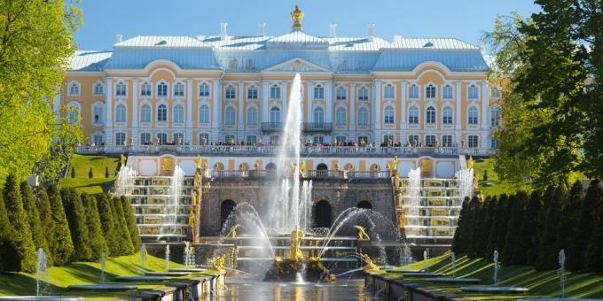 Počitnice v Rusiji leta 2020: Leningradska regija