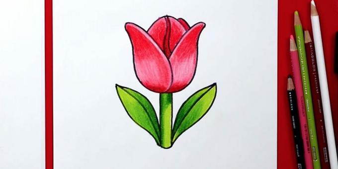 Kako narisati en preprost tulipan