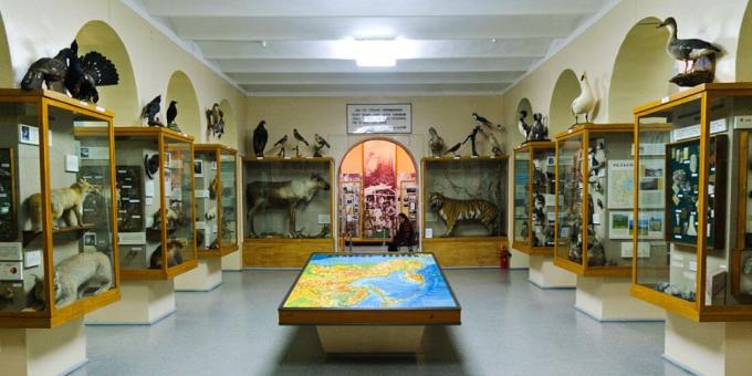 Saratovski regionalni krajevni muzej