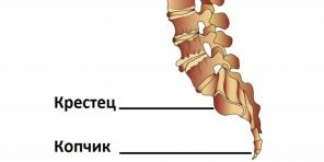 Zakaj tailbone boli in kaj storiti glede tega