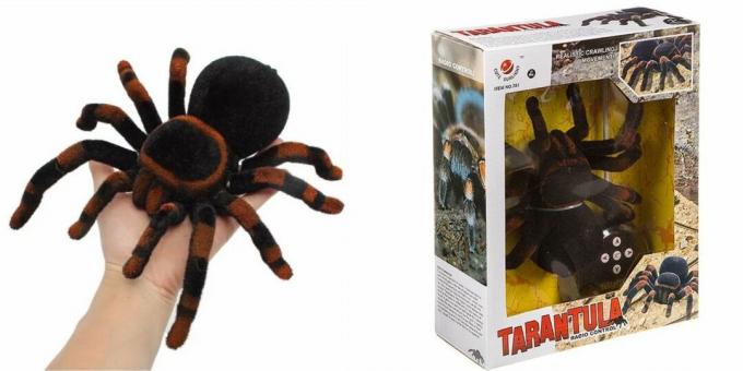 Plazenje tarantule