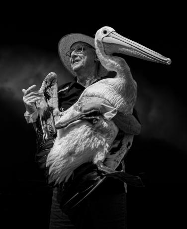 Lastnik pelikana Tony Lowe