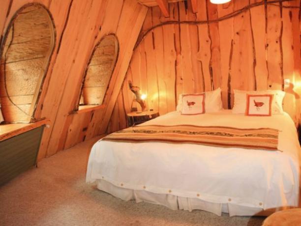 Hotel Magic Mountain Hotel se nahaja v čilski zaščitenih gozdov