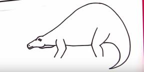 30 načinov risanja različnih dinozavrov