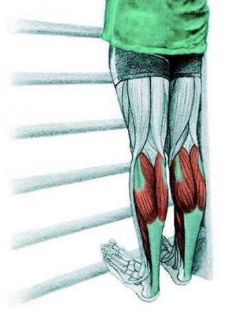 Anatomija raztezanje: raztezanje mišic tele
