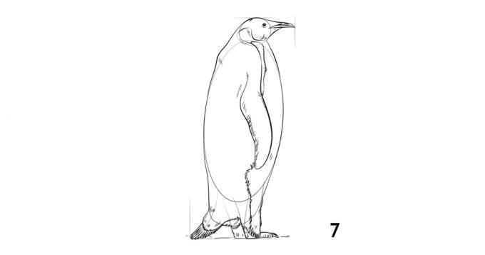 Kako pripraviti pingvina