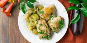 10 recepti so neverjetno okusne dušena piščančja