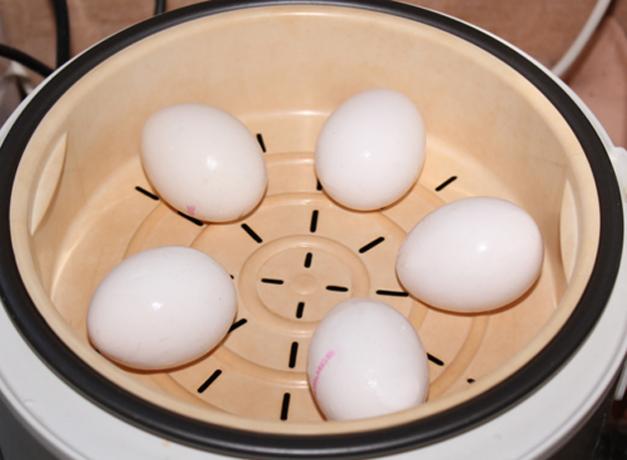 Kako kuhamo jajca v dvojni kotel ali multivarka