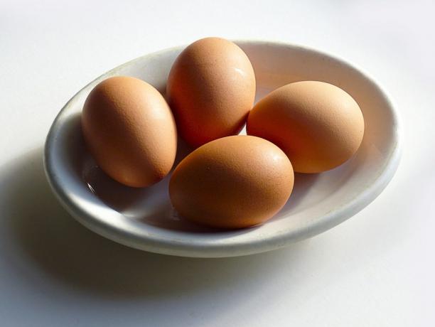 Viri beljakovin: jajca