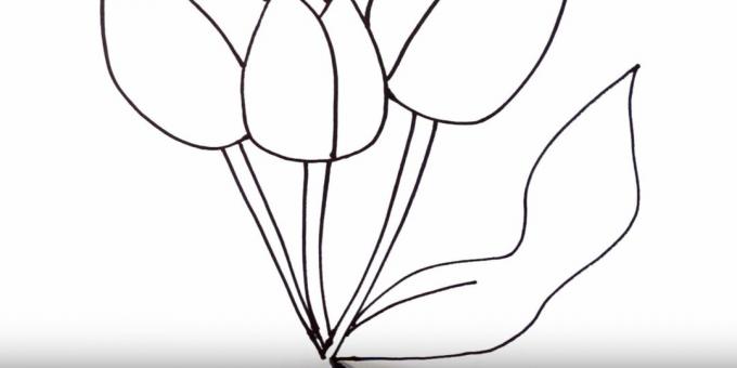 Kako narisati tulipan: upodobite desni list