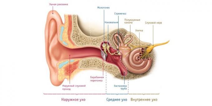 Če ima otrok bolečine v ušesu, je fiziološki razlog za to
