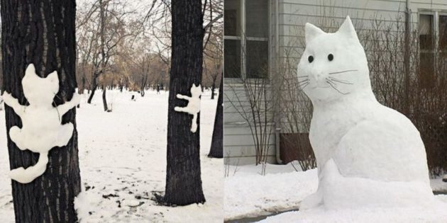 sneg slika: Cat