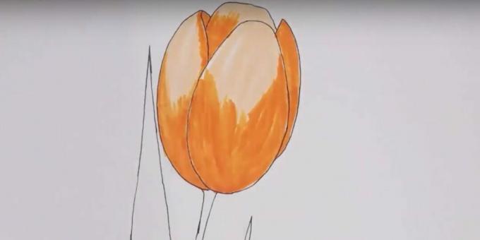Kako pripraviti tulipan: popek pobarvajte oranžno