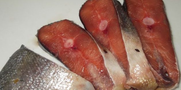 Kako škripcih rožnati losos v pergament