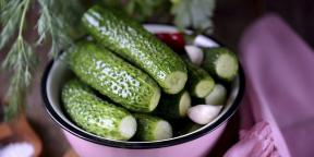 6 receptov za kisle kumarice