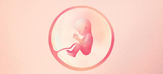 Kako izgleda dojenček v 19 tednu nosečnosti?