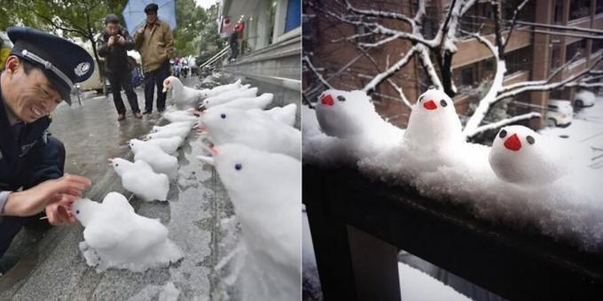 Sneg oblikuje z rokami: ptice