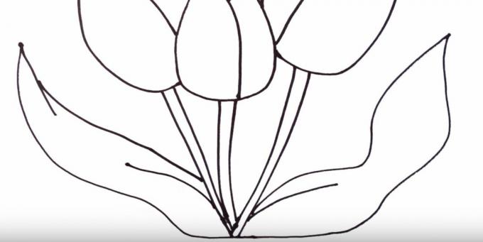 Kako narisati tulipan: upodobite levi list