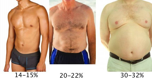 odstotek maščobe za moške