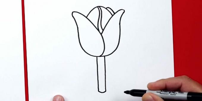 Kako pripraviti tulipan: dodajte steblo
