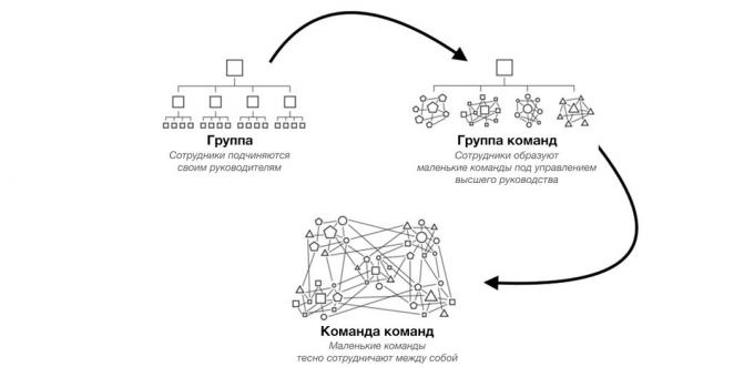 mentalni modeli: Ekipa Team