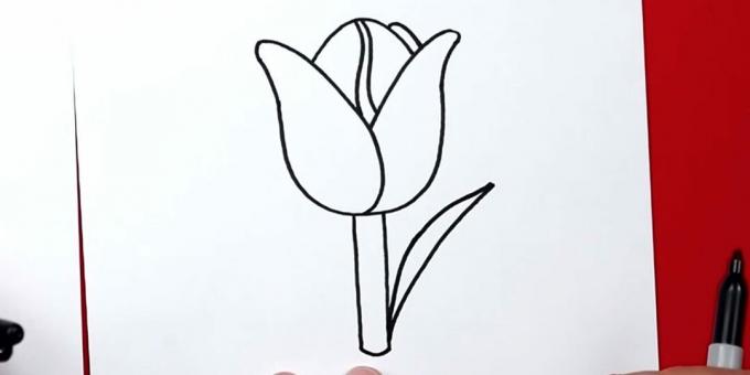 Kako narisati tulipan: začnite risati desni list
